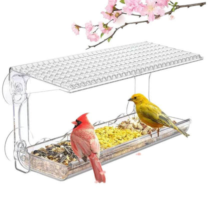 Outdoor Window Bird Feeder Transparent Window Bird House with Strong Suction Cup Installation