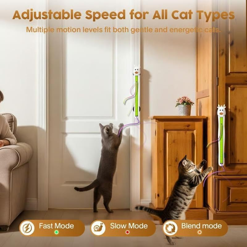 Jouet pour chat à corde volante et mouvement automatique