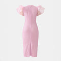 Elegant Women's Sheer Sleeve Long Dress, Fashionable Slim Fit with Waistline DesignSpring and Summer Wear